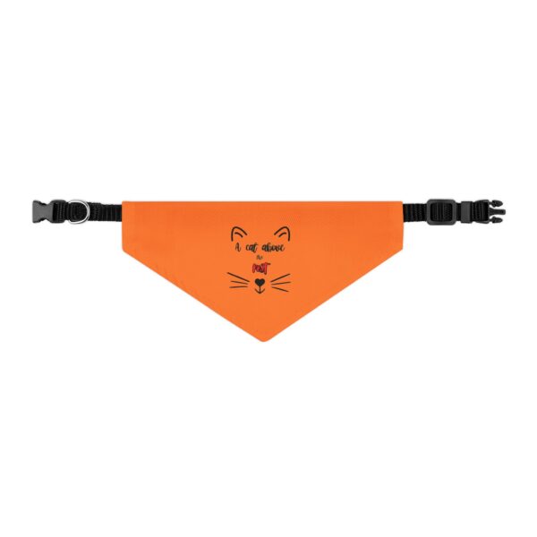 A Cat Above the Rest Cat Bandana Collar - Image 4