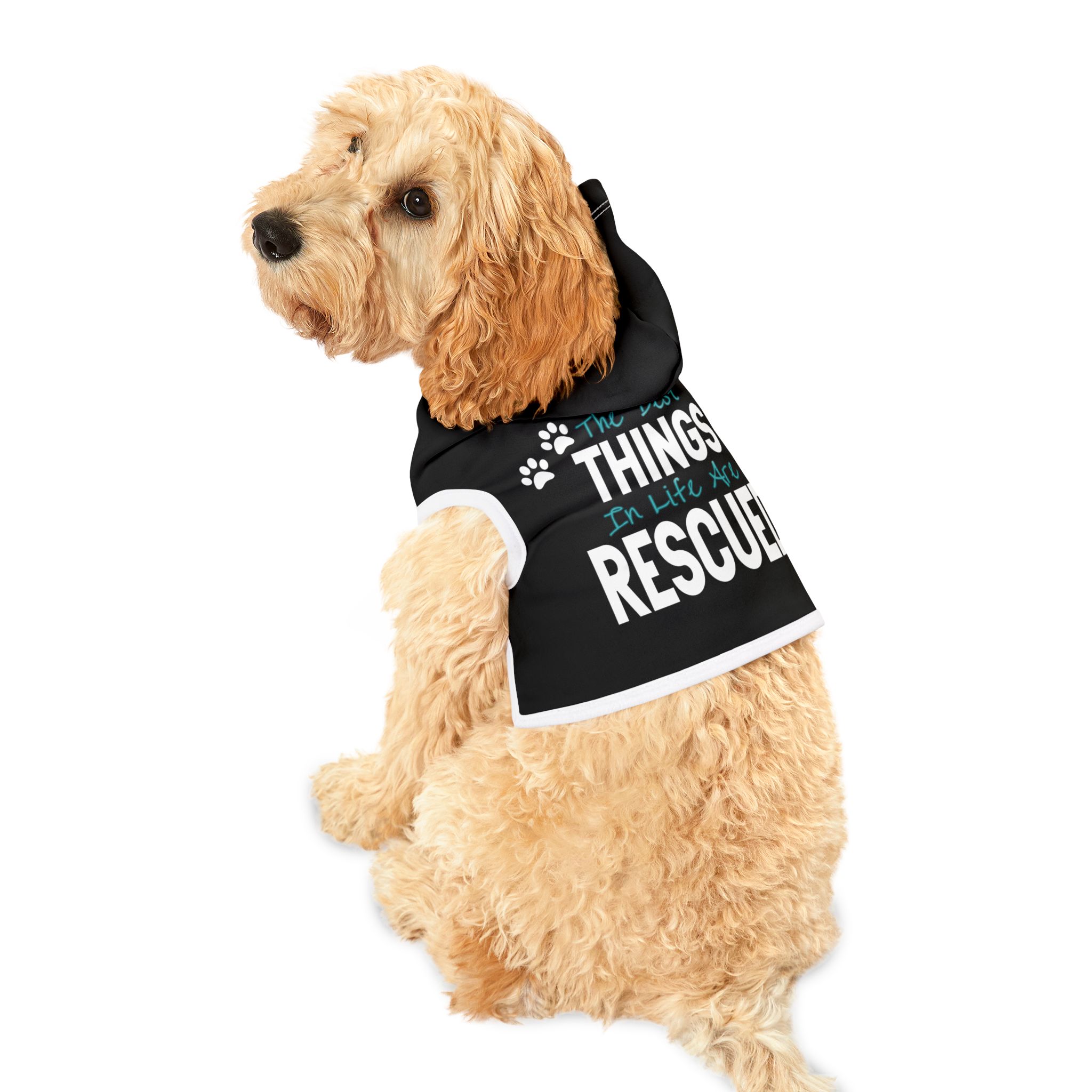 The Best Things in Life Pet Hoodie for Stylish Dogs - Image 9