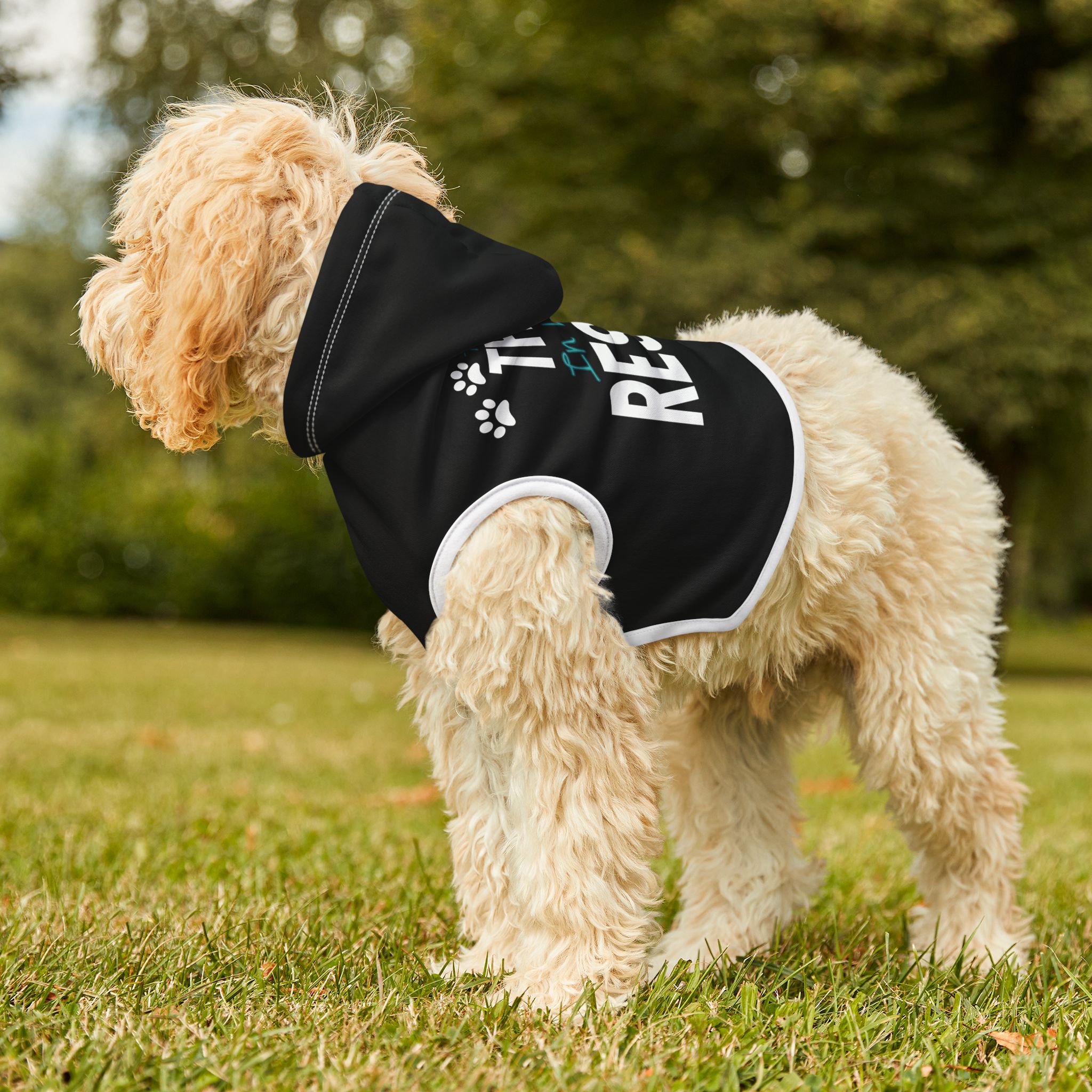 The Best Things in Life Pet Hoodie for Stylish Dogs - Image 14