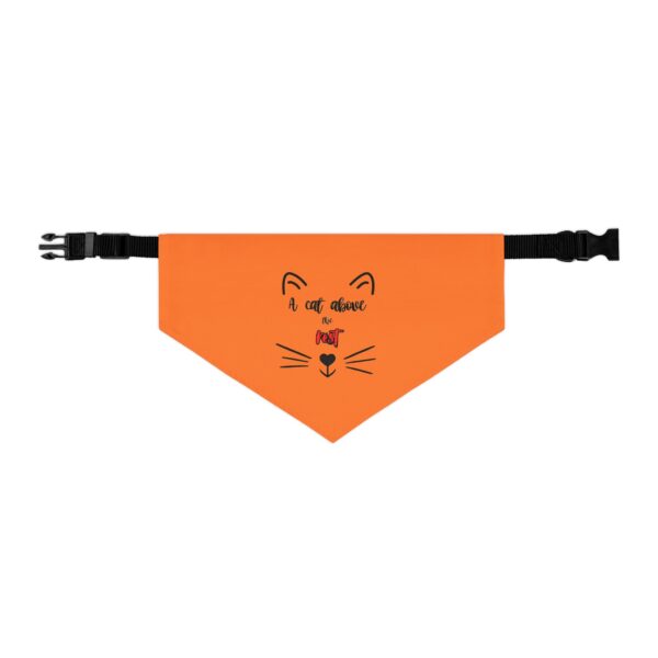 A Cat Above the Rest Cat Bandana Collar - Image 2