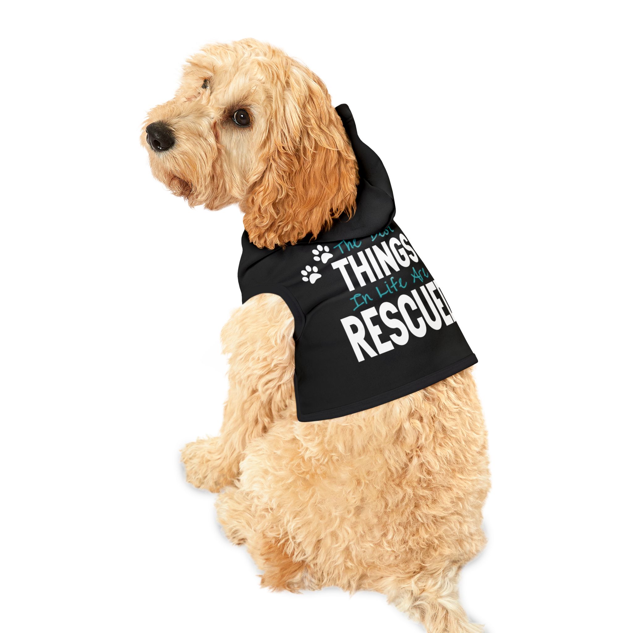 The Best Things in Life Pet Hoodie for Stylish Dogs - Image 2