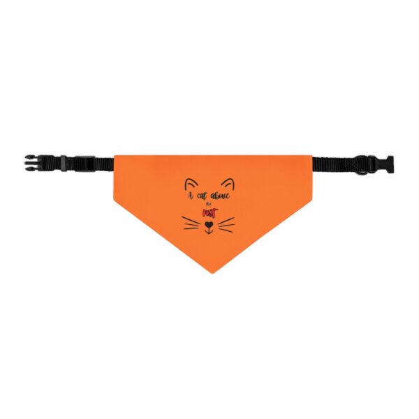 A Cat Above the Rest Cat Bandana Collar - Image 3