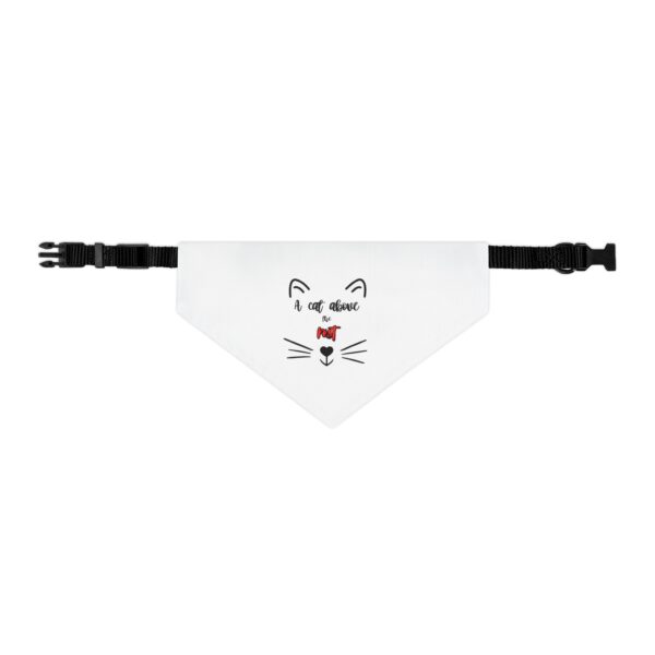 A Cat Above the Rest Cat Bandana Collar - Image 3