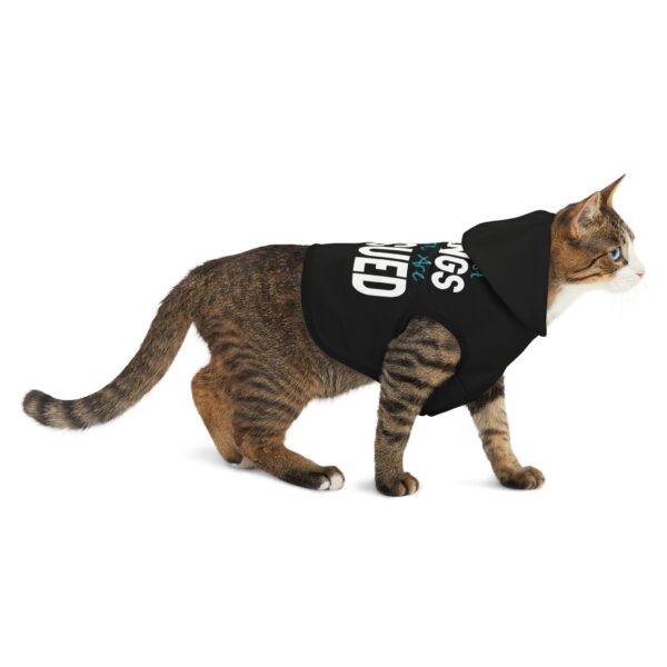 The Best Things in Life Pet Hoodie for Cool Cats - Image 4