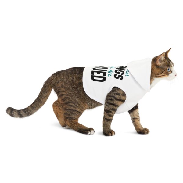 The Best Things in Life Pet Hoodie for Cool Cats - Image 6