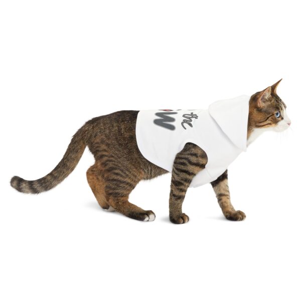Talk to the Paw Pet Hoodie for Cool Cats - Image 4