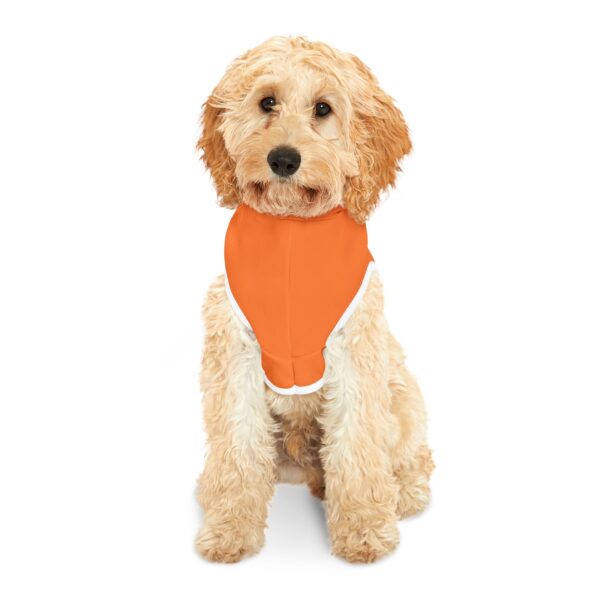 Paws Off My Treats Pet Hoodie for Stylish Dogs - Image 11