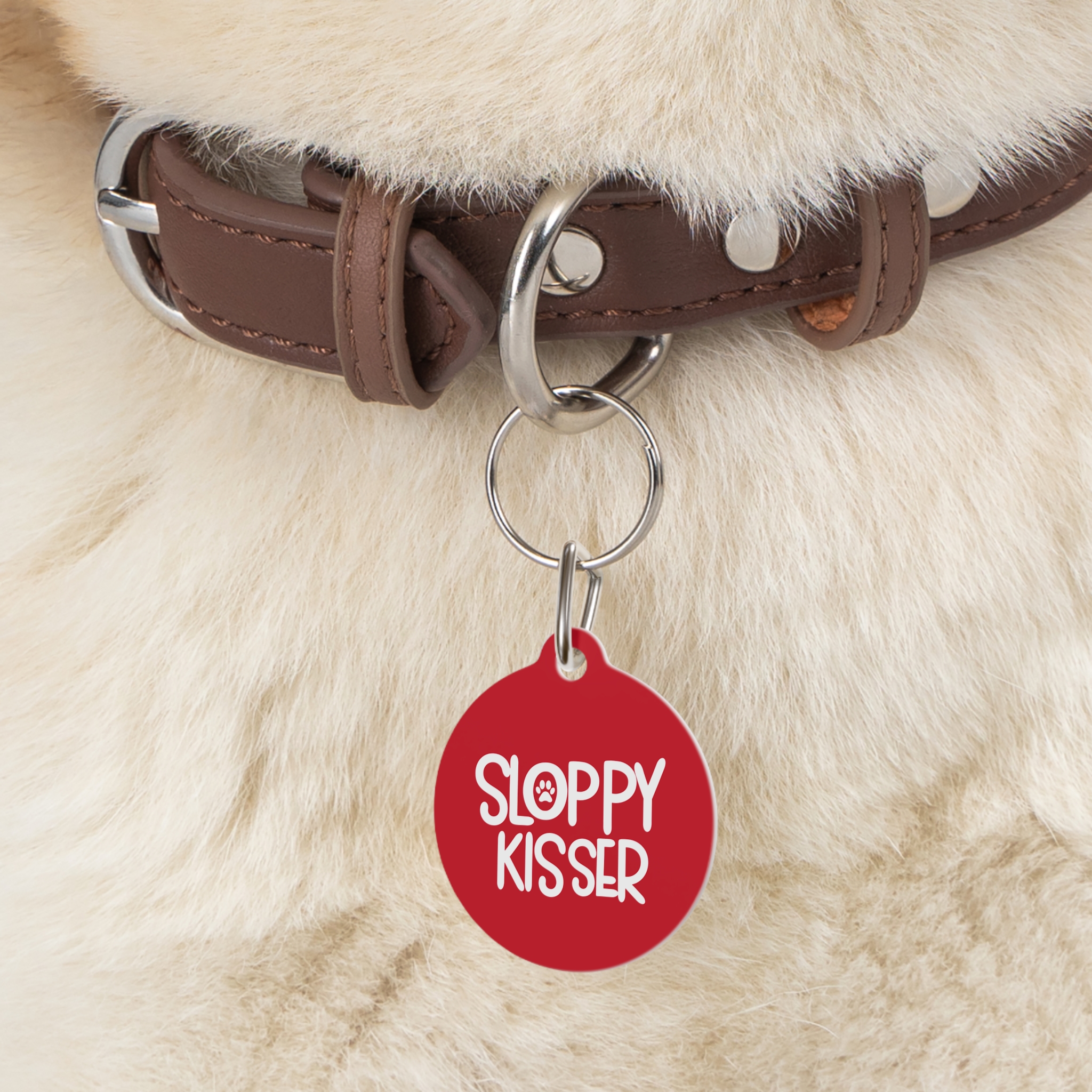 Sloppy Kisser Pet Tag - Stylish Pet ID Tag for Dapper Dogs - Image 5