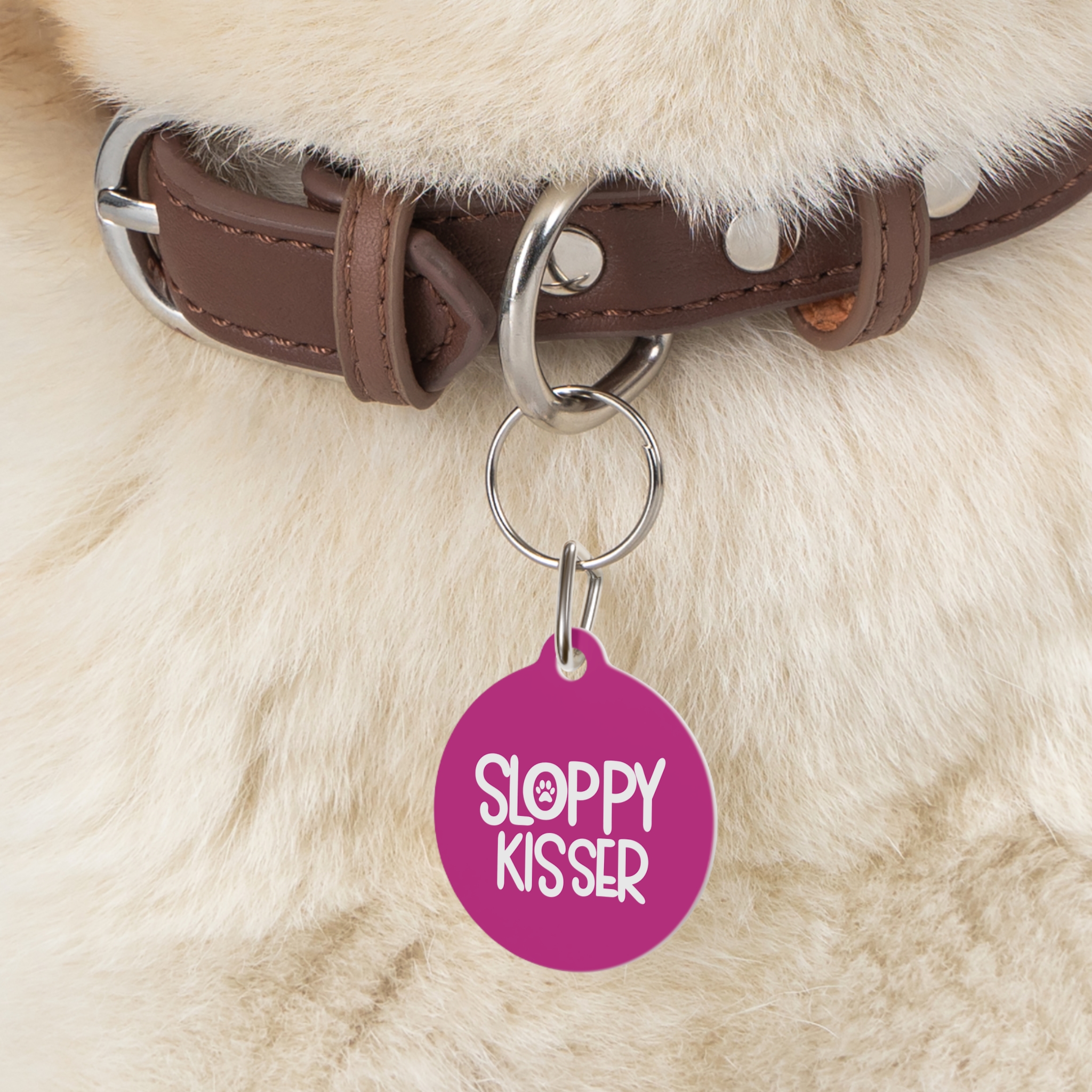 Sloppy Kisser Pet Tag - Stylish Pet ID Tag for Dapper Dogs - Image 5