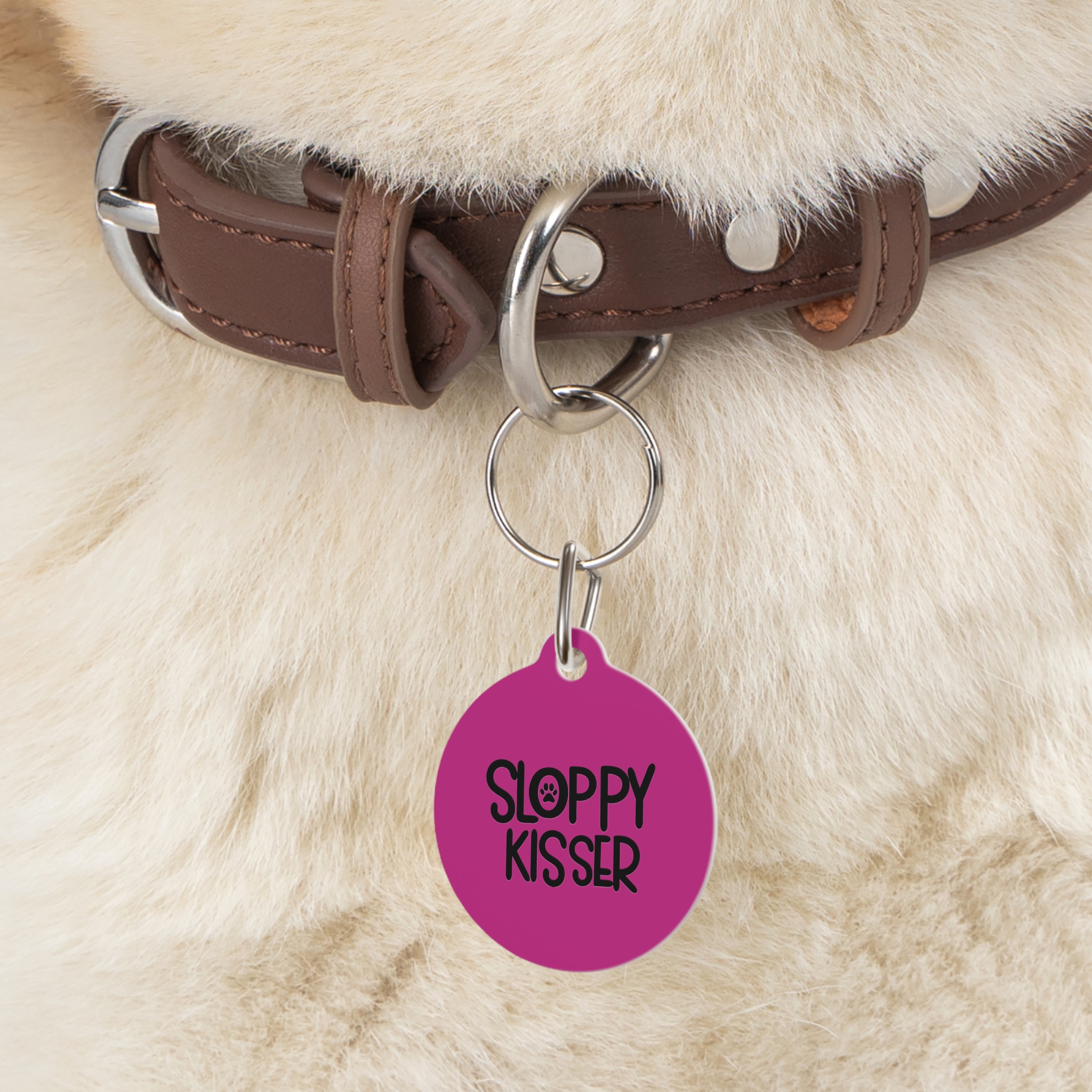 Sloppy Kisser Pet Tag - Stylish Pet ID Tag for Dapper Dogs - Image 5