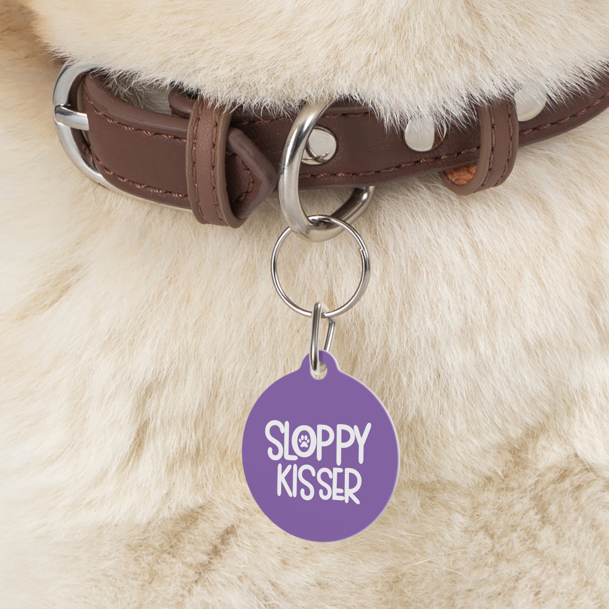 Sloppy Kisser Pet Tag - Stylish Pet ID Tag for Dapper Dogs - Image 5