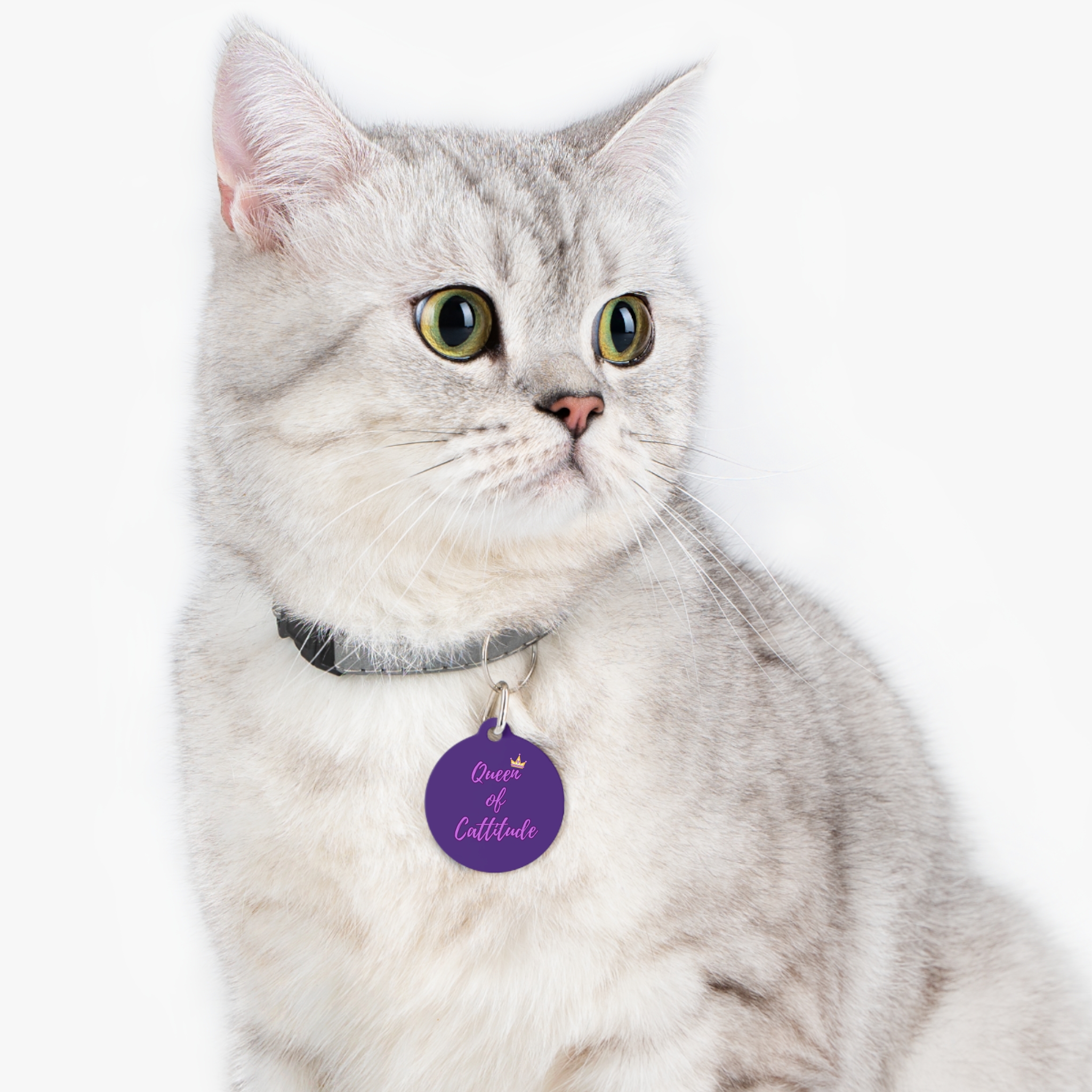 Queen of Cattitude Pet Tag - Stylish Pet ID Tag for Fashionable Felines - Image 6