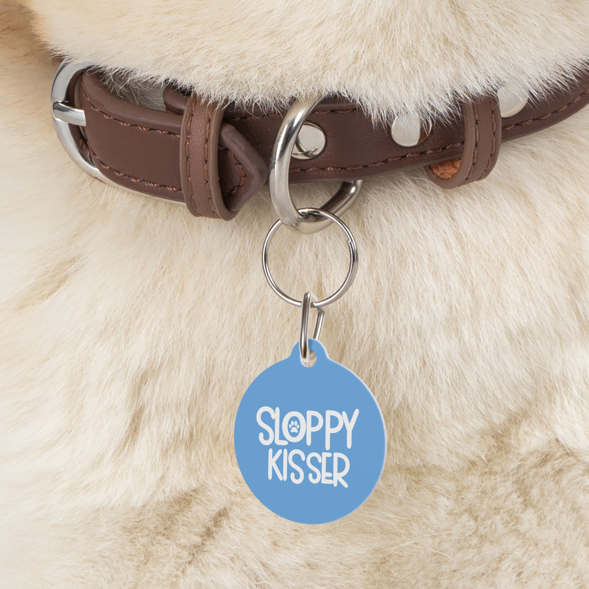 Sloppy Kisser Pet Tag - Stylish Pet ID Tag for Dapper Dogs - Image 5