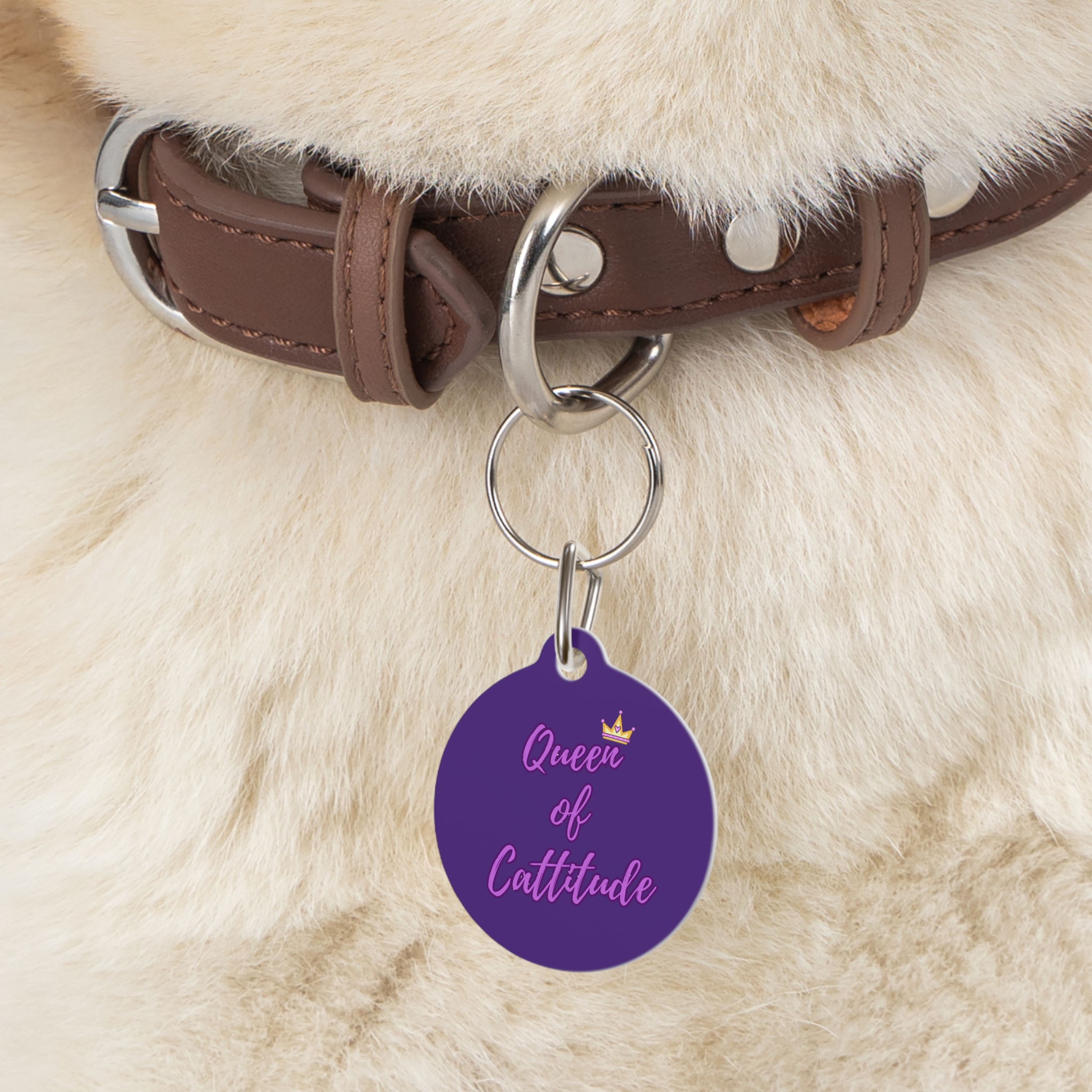 Queen of Cattitude Pet Tag - Stylish Pet ID Tag for Fashionable Felines - Image 5