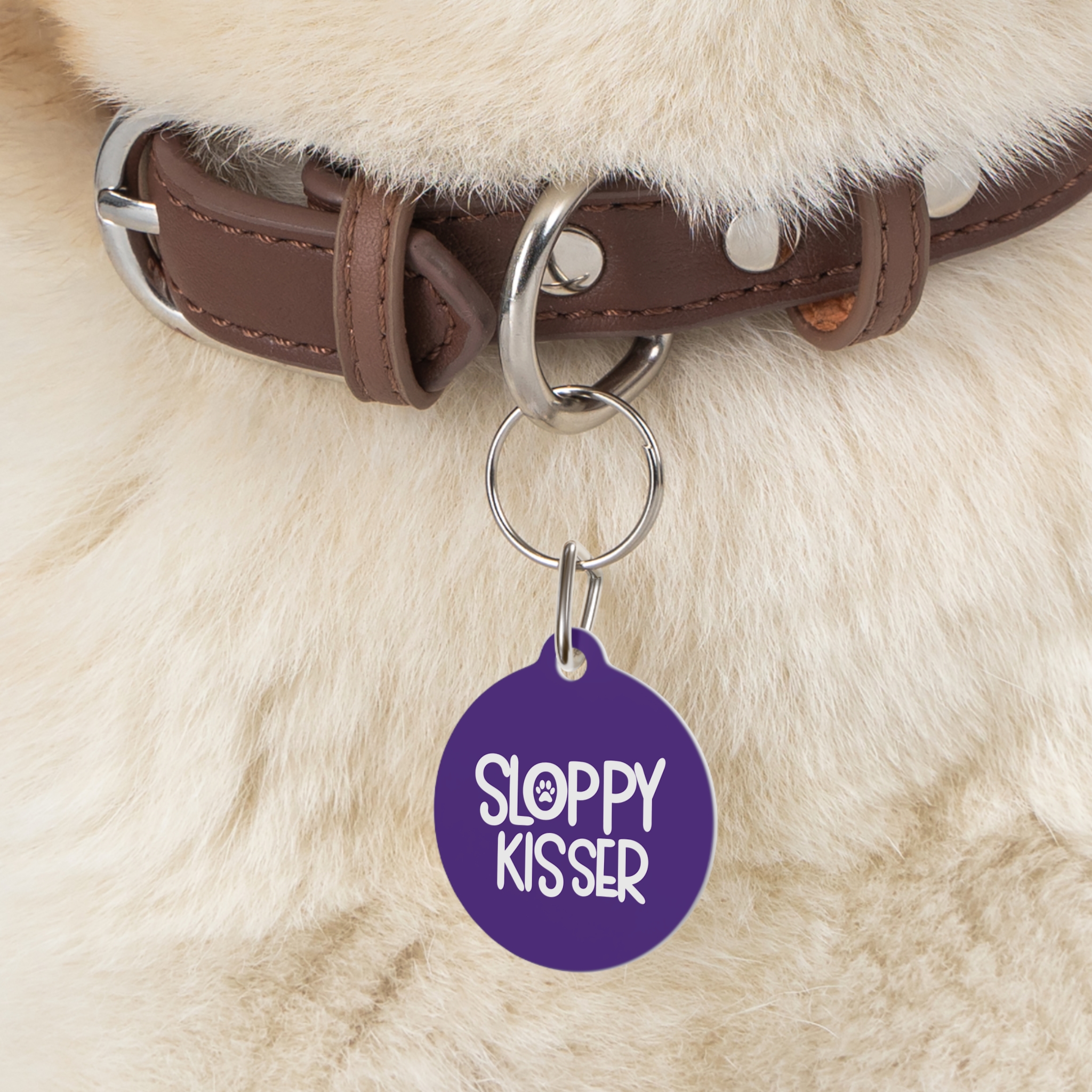 Sloppy Kisser Pet Tag - Stylish Pet ID Tag for Dapper Dogs - Image 5