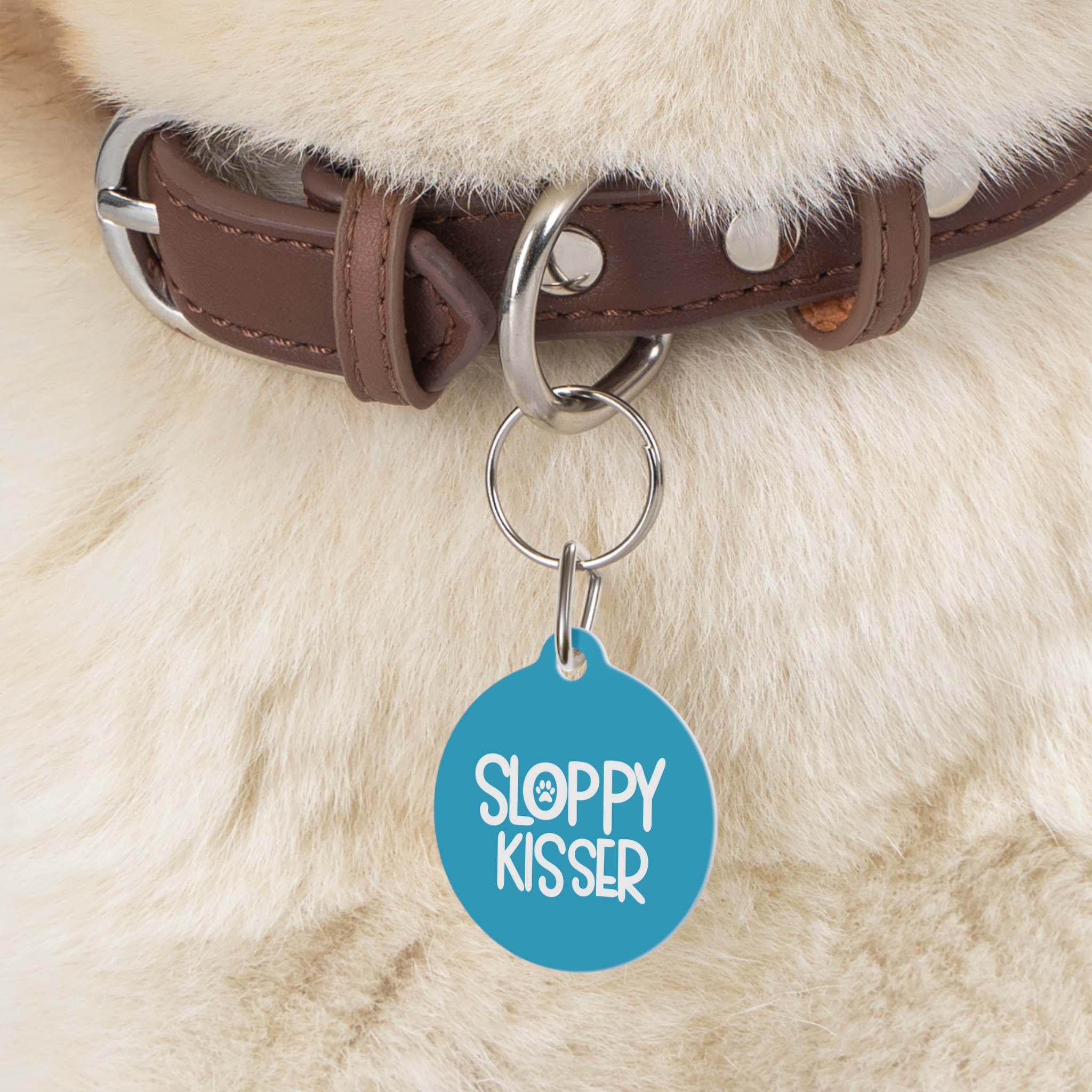 Sloppy Kisser Pet Tag - Stylish Pet ID Tag for Dapper Dogs - Image 5